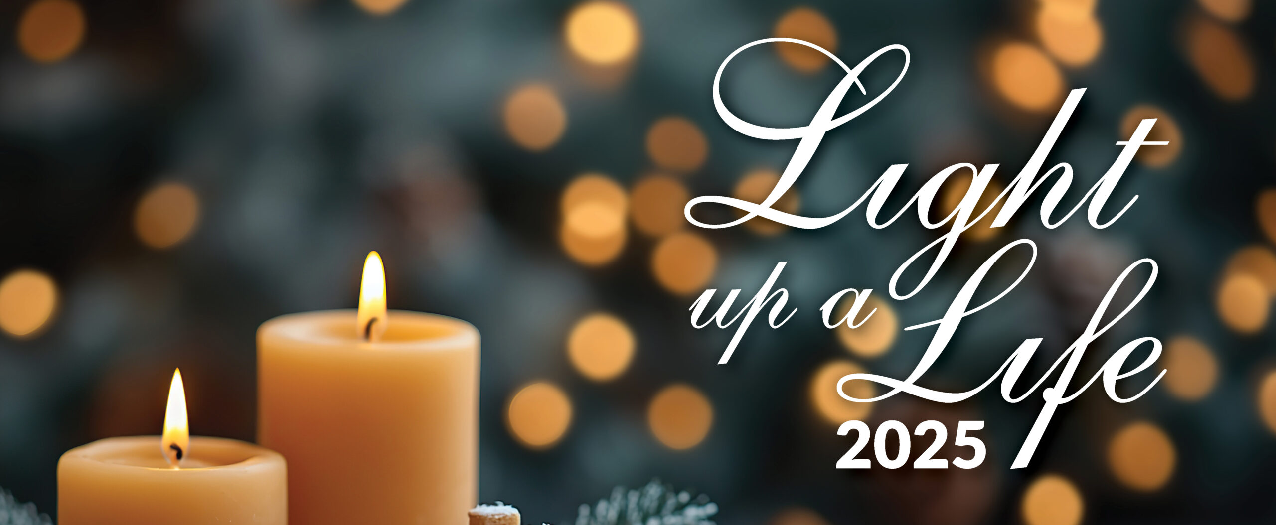 LUAL 2025 website header