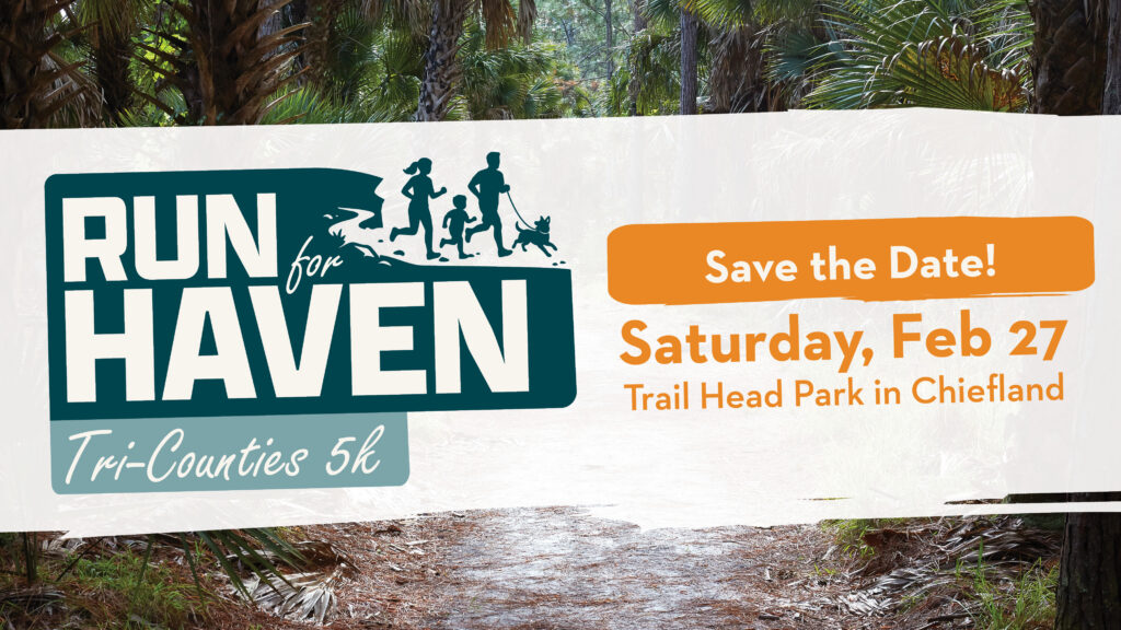 run for haven ppt backgrounds